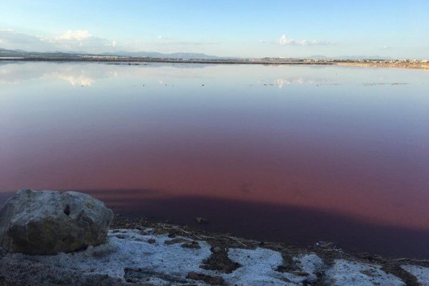 Sunset with Cava in the Pink Lagoon of Torrevieja 3