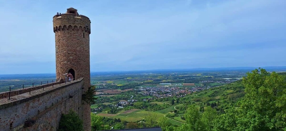 Around Heidelberg: 3-Castle Tour on the Bergstraße 1