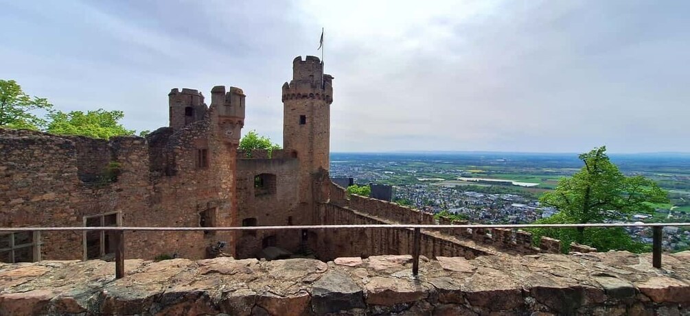 Picture 4 for Activity Around Heidelberg: 3-Castle Tour on the Bergstraße 3