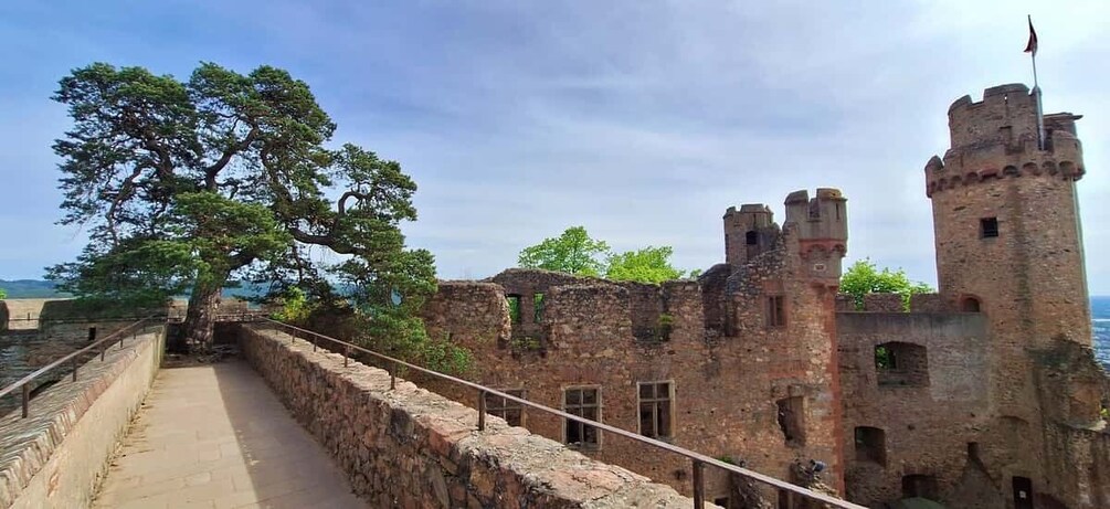 Picture 5 for Activity Around Heidelberg: 3-Castle Tour on the Bergstraße 5