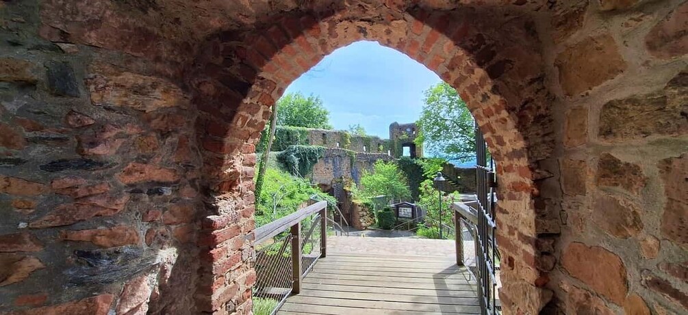 Picture 2 for Activity Around Heidelberg: 3-Castle Tour on the Bergstraße 4