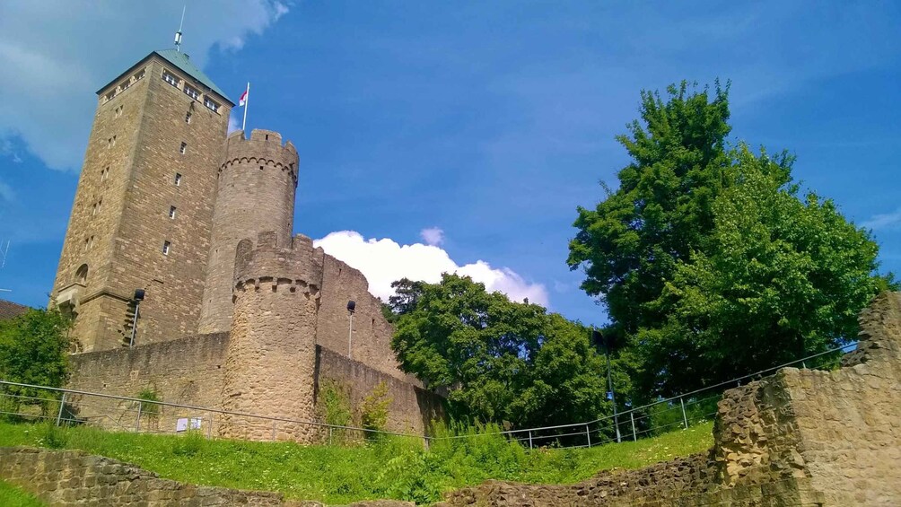 Picture 3 for Activity Around Heidelberg: 3-Castle Tour on the Bergstraße 5
