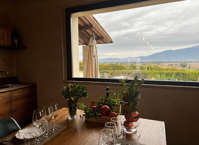 Umbria: Guided ColSanto Wine Tasting 1