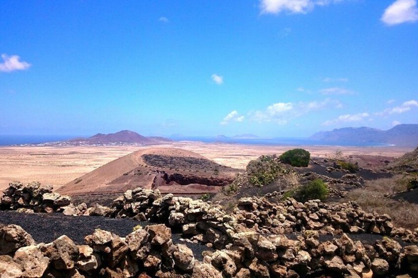 Walking tour of the Palm Valley and visit to the César Manrique House 3
