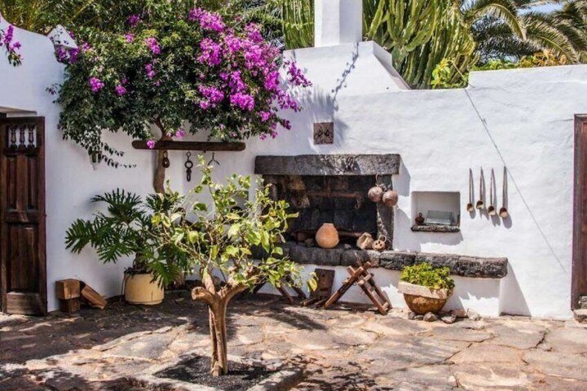 Walking tour of the Palm Valley and visit to the César Manrique House 4