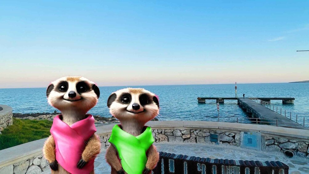 Two meerkats standing on a stone platform by the sea with a pier in the background. 1