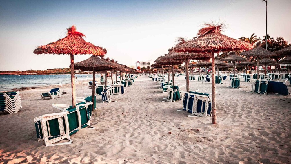 A beach with rows of sun loungers and thatched umbrellas. 5
