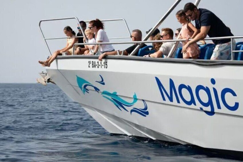 Morro Jable: 2 Hours Magic Dolphin & Whale watching with Drinks & Swim Stop. 3