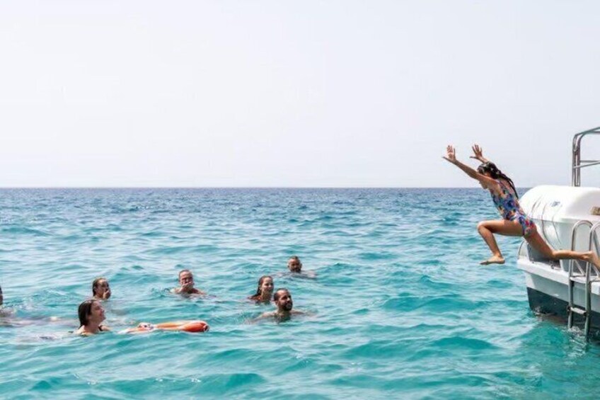 Morro Jable: 2 Hours Magic Dolphin & Whale watching with Drinks & Swim Stop. 2