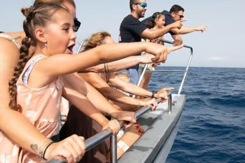 Morro Jable: 2 Hours Magic Dolphin & Whale watching with Drinks & Swim Stop. 5