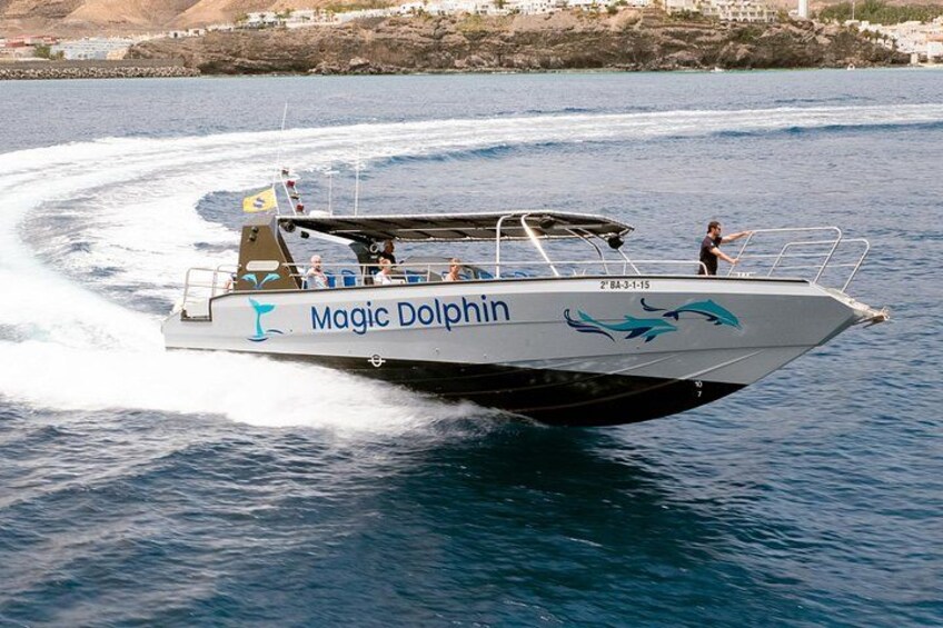 MAGIC DOLPHIN - fuerteventura boat trip - dolphin tour - fuerteventura whale watching 3