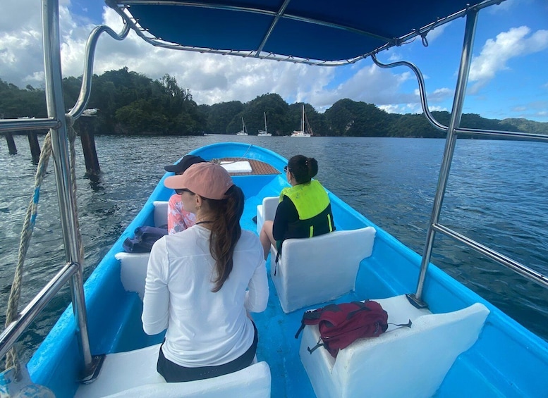 Picture 37 for Activity Samana: Boat Tour in Los Haitises & ATV + Pools Cano Hondo 3