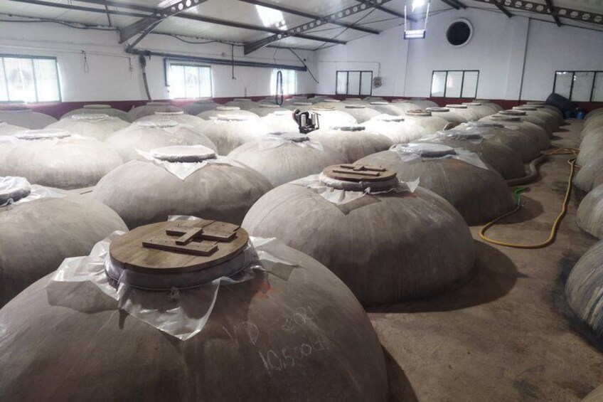 Organic Wine and Olive Oil Tour with Tapas From Málaga 5