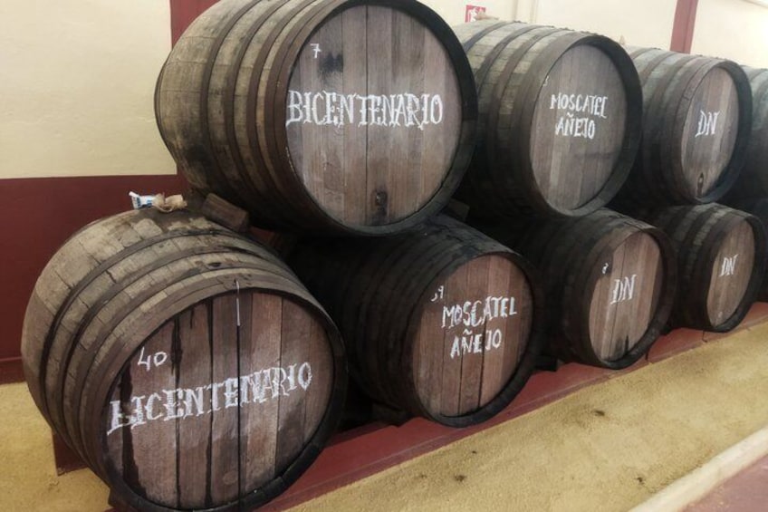 Organic Wine and Olive Oil Tour with Tapas From Málaga 4
