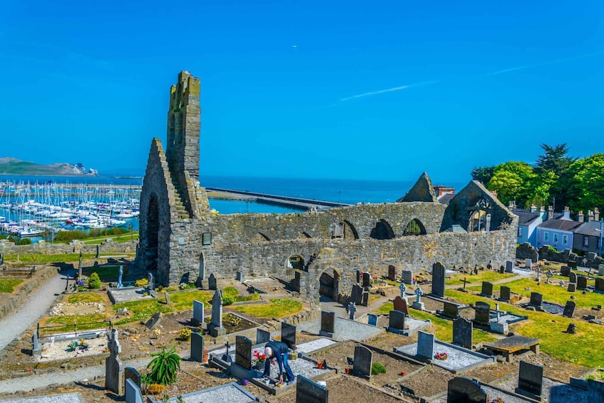 Picture 2 for Activity Dublin: Howth Walking Tour with Local Guide 5