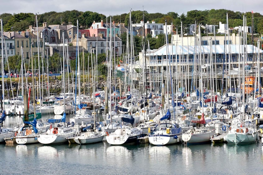 Picture 5 for Activity Dublin: Howth Walking Tour with Local Guide 2