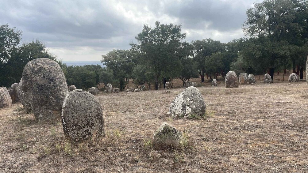 A cemetery with large, weathered gravestones and trees in the background. 3