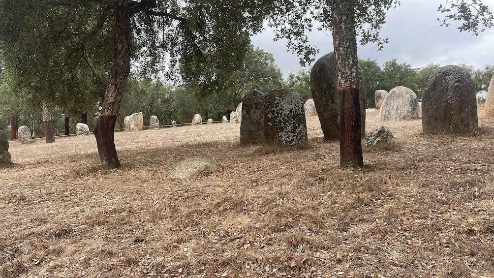A cemetery with headstones and trees. 5
