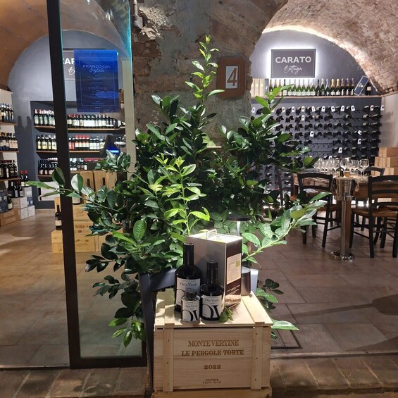Wine and oil tasting in the small medieval village of Tuscany 1