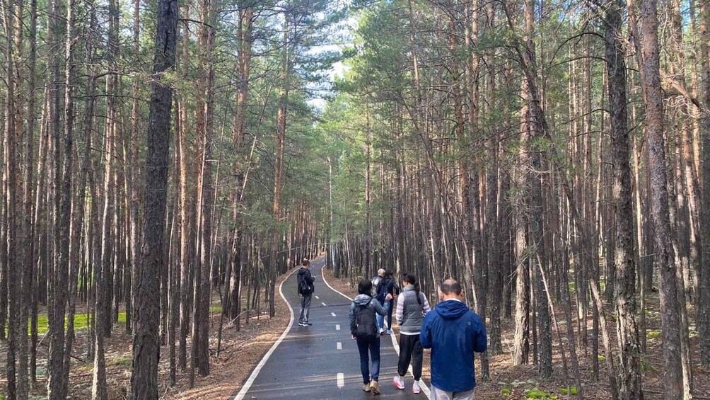Picture 7 for Activity Astana: Private City Tour and Burabay National Park bundle 4