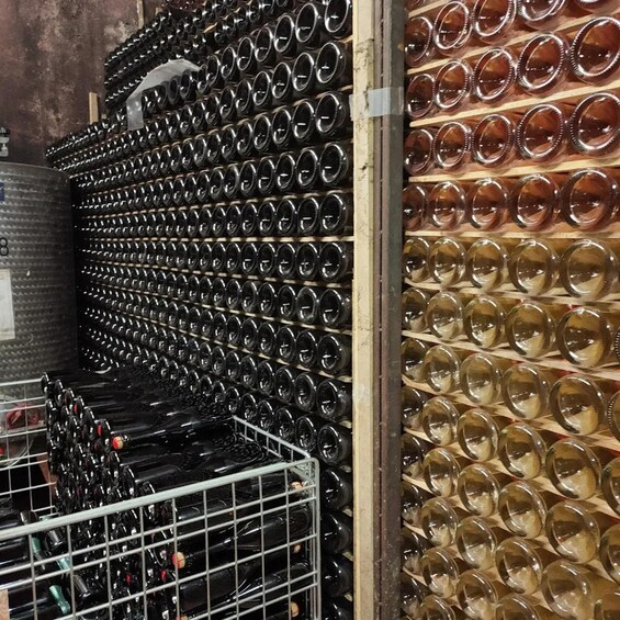 Picture 5 for Activity Franciacorta: Tour and Food Tasting at the Family Winery in Corte Franca 5