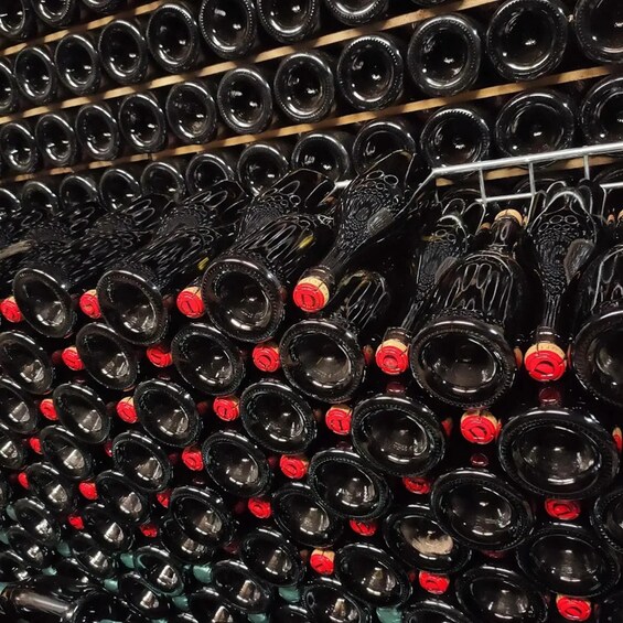 Picture 1 for Activity Franciacorta: Tour and Food Tasting at the Family Winery in Corte Franca 2