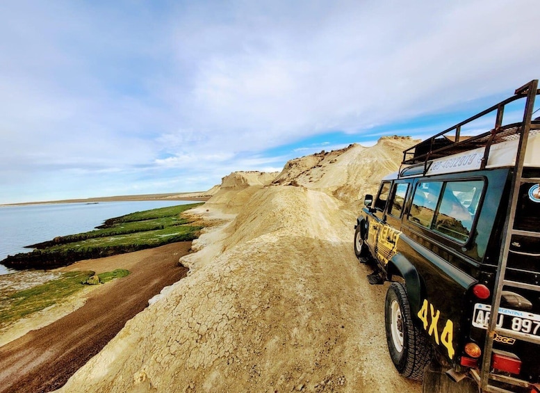 Picture 17 for Activity PUERTO MADRYN: 4 X 4 ADVENTURE EXPERIENCE ON THE MOST BEAUTIFUL BEACHES! 3