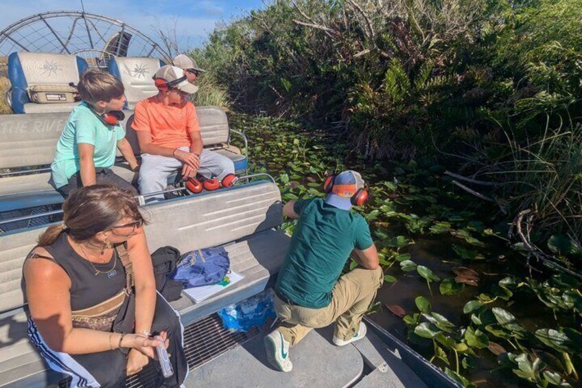 Everglades Excursion in Hydrofoil – French Guide (1h30) 5