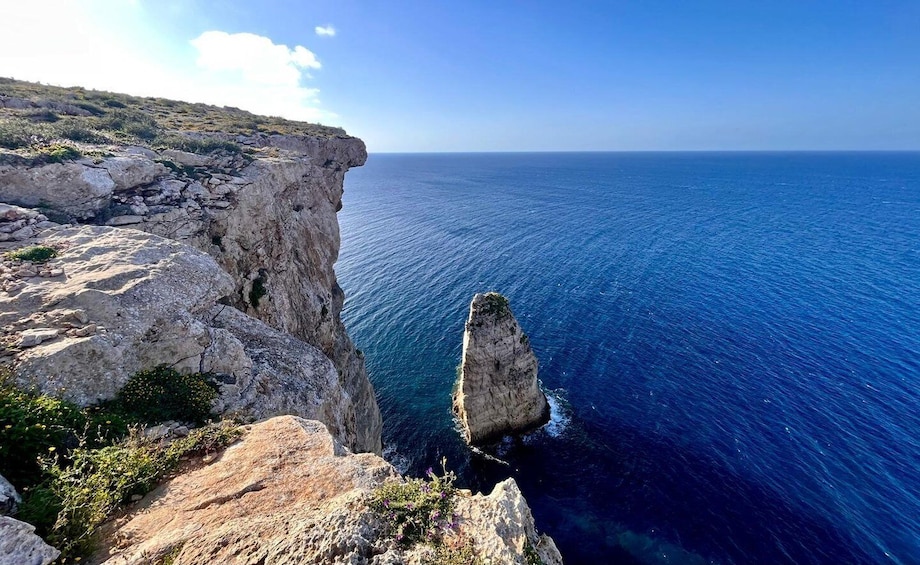 Lampedusa: Nature Tour at Punta Parise 1