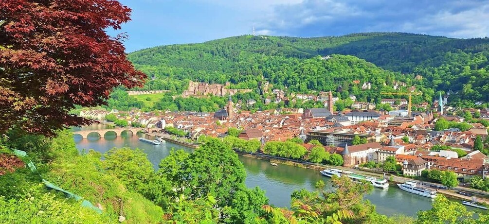 Picture 1 for Activity Heidelberg: Highlights Tour with City, Castle, Philosophenweg & Königstuhl 3