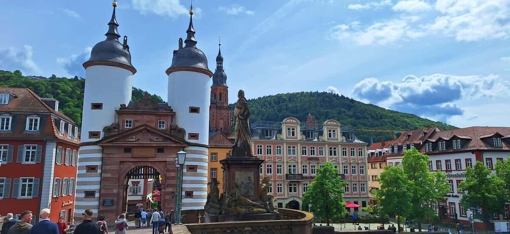 Picture 2 for Activity Heidelberg: Highlights Tour with City, Castle, Philosophenweg & Königstuhl 5