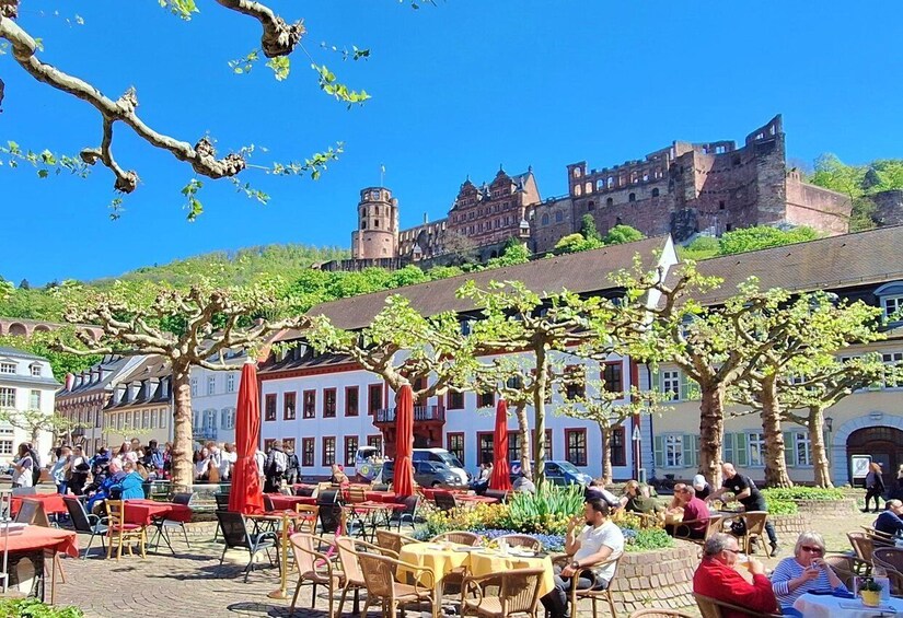 Heidelberg: Highlights Tour with City, Castle, Philosophenweg & Königstuhl 1