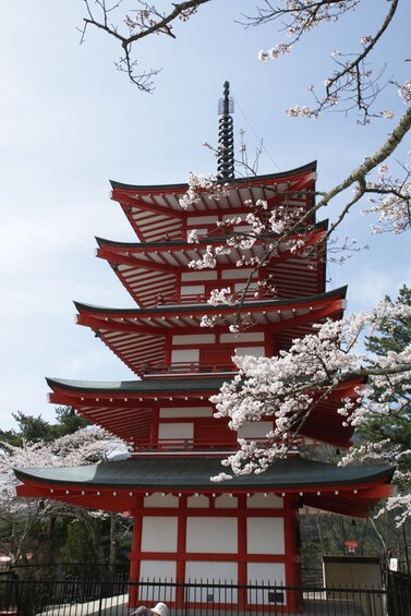 Picture 4 for Activity Fujiyoshida: Kimono Rental with Dressing Service 4