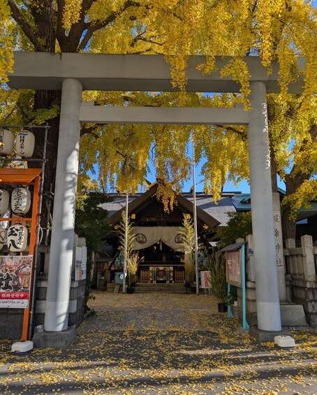 Perinteinen japanilainen torii-portti, jonka ympärillä on keltaisia syksyn lehtiä, ja portin edessä on pyhäkkö sekä opastekylttejä. 3