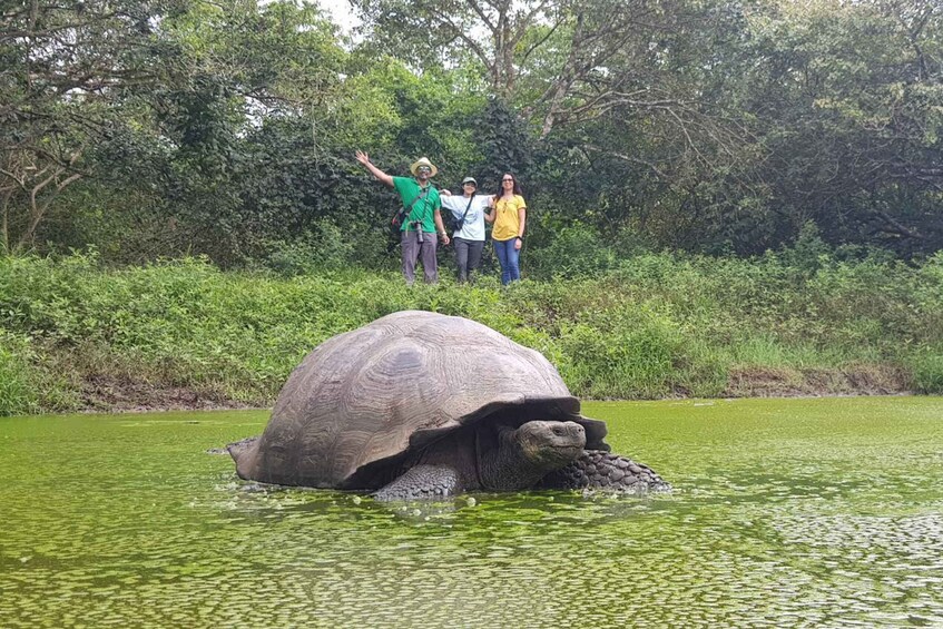 Picture 3 for Activity Explore the Galapagos! Giant Tortoises, Twin Craters, Tunnels, and Darwin 2
