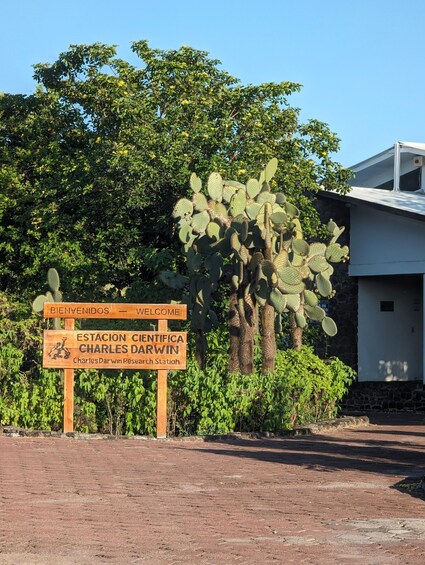 Explore the Galapagos! Giant Tortoises, Twin Craters, Tunnels, and Darwin 1