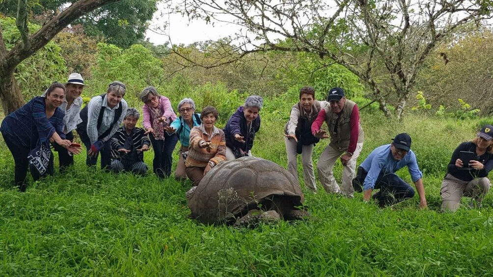 Picture 1 for Activity Explore the Galapagos! Giant Tortoises, Twin Craters, Tunnels, and Darwin 3