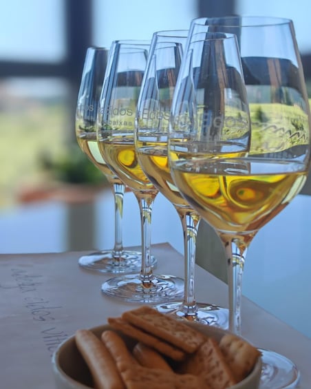 Four wine glasses filled with a golden liquid, likely wine, on a table with a bowl of crackers in the foreground. 1