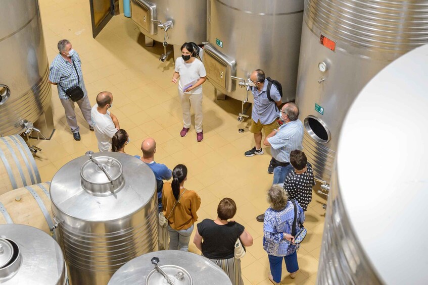 Picture 2 for Activity Winery tour with wine tasting - Rías Baixas 3