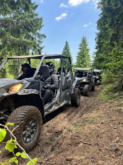 Borzont: Mountain Buggy Tour to Varsag Waterfall with Lunch 1