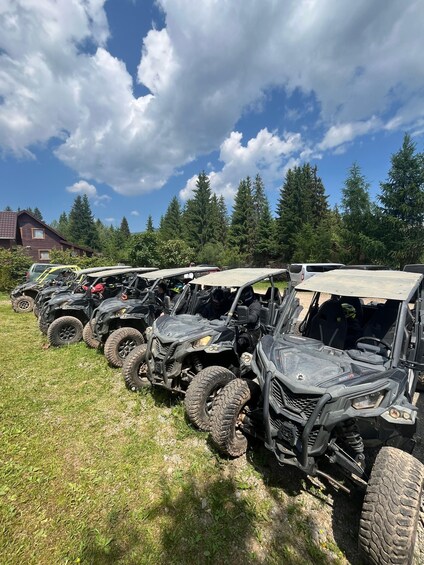 Picture 1 for Activity Borzont: Mountain Buggy Tour to Varsag Waterfall with Lunch 2