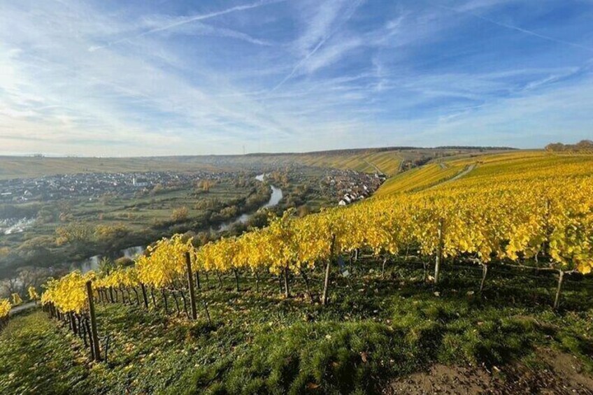 A vineyard with rows of grapevines, a winding road, and a distant town. 1