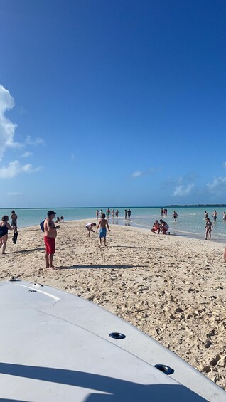 Picture 9 for Activity Nassau: Exuma Cays Swimming Pigs and Iguanas Tour 4