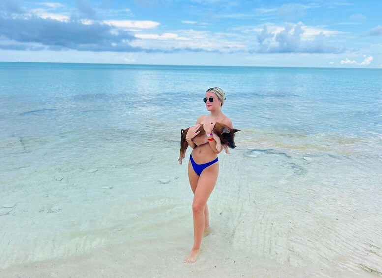 Picture 1 for Activity Nassau: Exuma Cays Swimming Pigs and Iguanas Tour 2