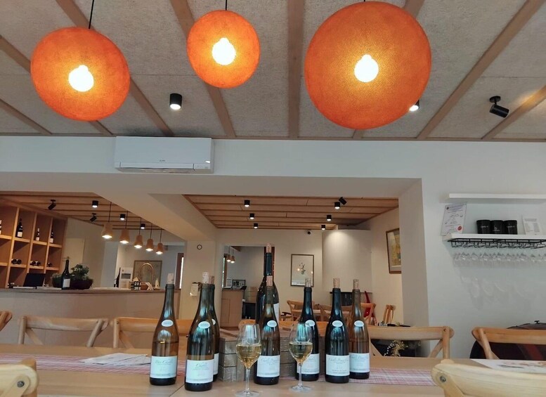 Picture 2 for Activity Domaine A. Geoffroy: Museum of the Vine and the Corkscrew & Tasting 4