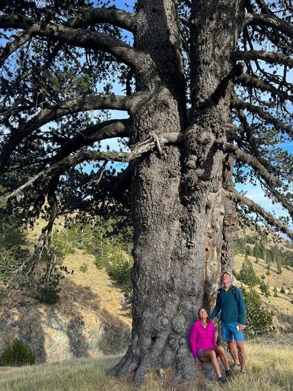 Off-Road & Hiking Adventure from Korçë to Valamara 1