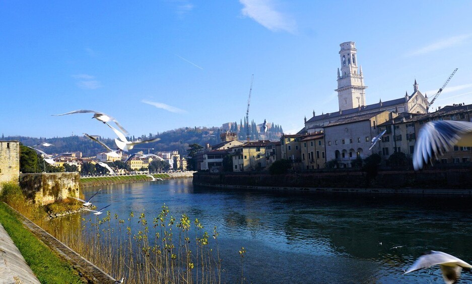 Verona: Walking Tour in the Footsteps of Young Mozart and Local Flavors 1