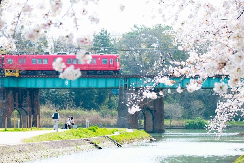 A red train on a bridge, a river below, and cherry blossoms in the foreground. 5
