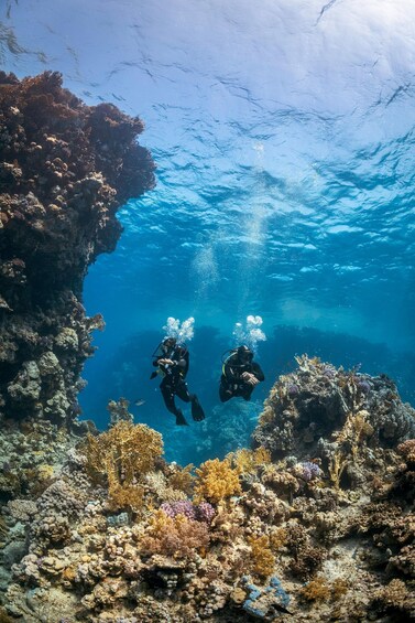 Paros: 2-Tank Scuba Diving Boat Tour for Certified Divers 1