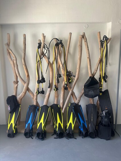 Picture 2 for Activity Paros: 2-Tank Scuba Diving Boat Tour for Certified Divers 3